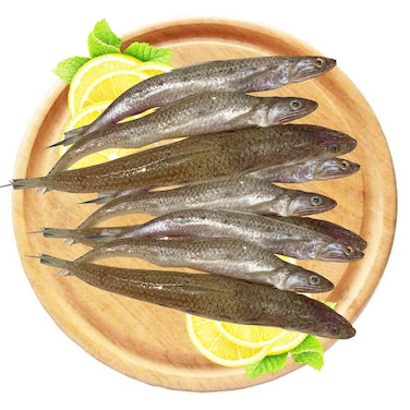 Imported Armout Fish