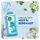 Dettol Shower Gel Cool 250 Ml