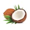 Coconut Per Piece