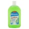 Carrefour Antiseptic Disinfectant Green 500ml
