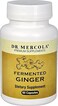 Dr. Mercola Fermented Ginger Beer, 0.5 Ounce