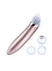 Generic Electric Blackhead Remover Rose Gold/Silver