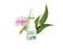 Puressentiel Hypertonic Nasal Spray 5Ml - Congestion Relief Instant Action Blocked Nose, Cold, Hay Fever, Allergies, Sinusitis Natural, Eucalyptus, Sea Water, Propolis And