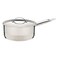 TRAM MINI COCOTTE PAN 14CM1.1L SS