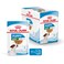 Royal Canin Size Health Nutrition Mini Puppy Wet Food - 12x85G