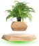Nicetow Small Levitating Air Bonsai Pot, Decorative Resin Flower Pot, Magnetic Levitation Suspension Floating Pot, Office Planter Plant Pots For Home Desk Decor-Wood 19X3Cm(7X1Inch)