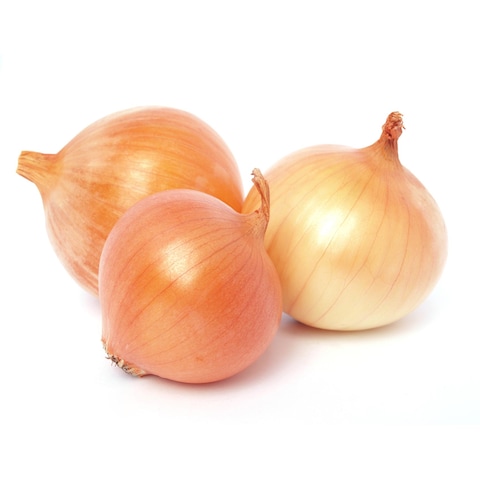 Buy Onion Golden in Saudi Arabia