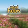 Natural Factors Acidophilus and Bifidus, 5 Billion Active Cells, 90 Capsules