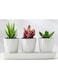 Generic 3 Pcs Geometric Succulent Planter With Trey, Set Of 3 White Ceramic Succulent Cactus Square Planter Pots With Bamboo Tray(Plants Not Included)