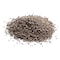 Parsley Seeds Organic