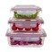 Feelings Glass Storage Container Set Clear/Blue 400ml+640ml+1.04L 3 PCS