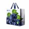 Eco Grapes Printed Shopping Bag Purple/White