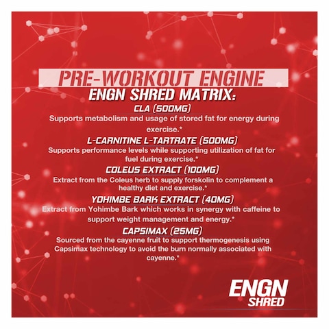 Evolution Nutrition ENGN Shred Fruit Punch Pre Workout Powder 237g