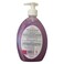 Hemani Pink Passion Hand Wash 500 ml