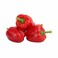 Red Capsicum Import