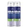 Gillette shave foam sensitive skin 250 ml &times; 2