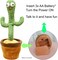 Hawkeye Automations Talking Cactus Toy Dancing Cactus Toy (Dancing/Talking Cactus) Toys For Babies Cactus Baby Toy
