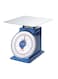 Generic Dial Spring Scale Camry 100Kg