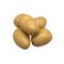 Potato
