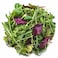Farmed Here Mesclun Mix 100g