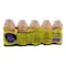 Birch Tree Probiotic Milk Drink 65ml Pack of 5