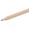 Specialist Crafts  Spectrum HB Graphite Pencils with Eraser Tip  Pack of 12