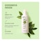 Plum Green Tea Alcohol-Free Toner 200ml