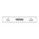 Gold Fish Ruler Scale 2 pcs