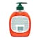 Palmolive Hygiene Plus Family liquid Handwash 300ml
