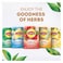 Lipton Enveloped Tea Bags Hibiscus 2g x20