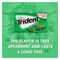 Trident Spearmint Chewy Gum 14 Sticks