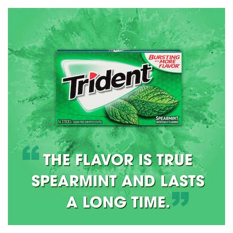 Trident Spearmint Chewy Gum 14 Sticks