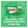 Trident Spearmint Chewy Gum 14 Sticks