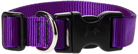 Lupine Dog Collar 16-28, Purple, 1 Inch