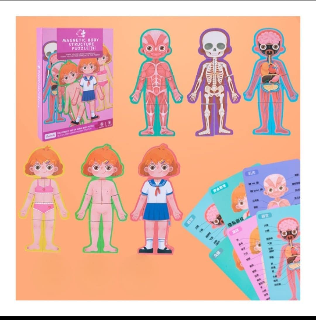 Buy Wooden Human Body Parts Structure Jigsaw Puzzle Set for Kids Toys ...