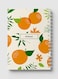 Lowha Spiral Notebook With 60 Sheets And Hard Paper Covers With Orange Vector Design, For Jotting Notes And Reminders, For Work, University, School
