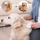 Pet Hair Removal Brush Cleaning Slicker Brush Gently Removes Loose Undercoat for Long or Short Haired Pets/Dogs/Cats