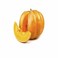 PUMPKIN KG