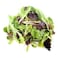 Salad Mix 160g