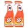 Mr. Muscle Citrus Kitchen Cleaner 500ml Pack of 2