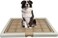 Dog Toilet for Training, Easy To Clean, All Breed Dog Potty Toilet with Tray, Keep Paws and Floor Clean, Indoor Outdoor, Portable, Durable, Beige Color, Large Size 76 Cm Length