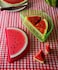 Snips Watermelon Saver