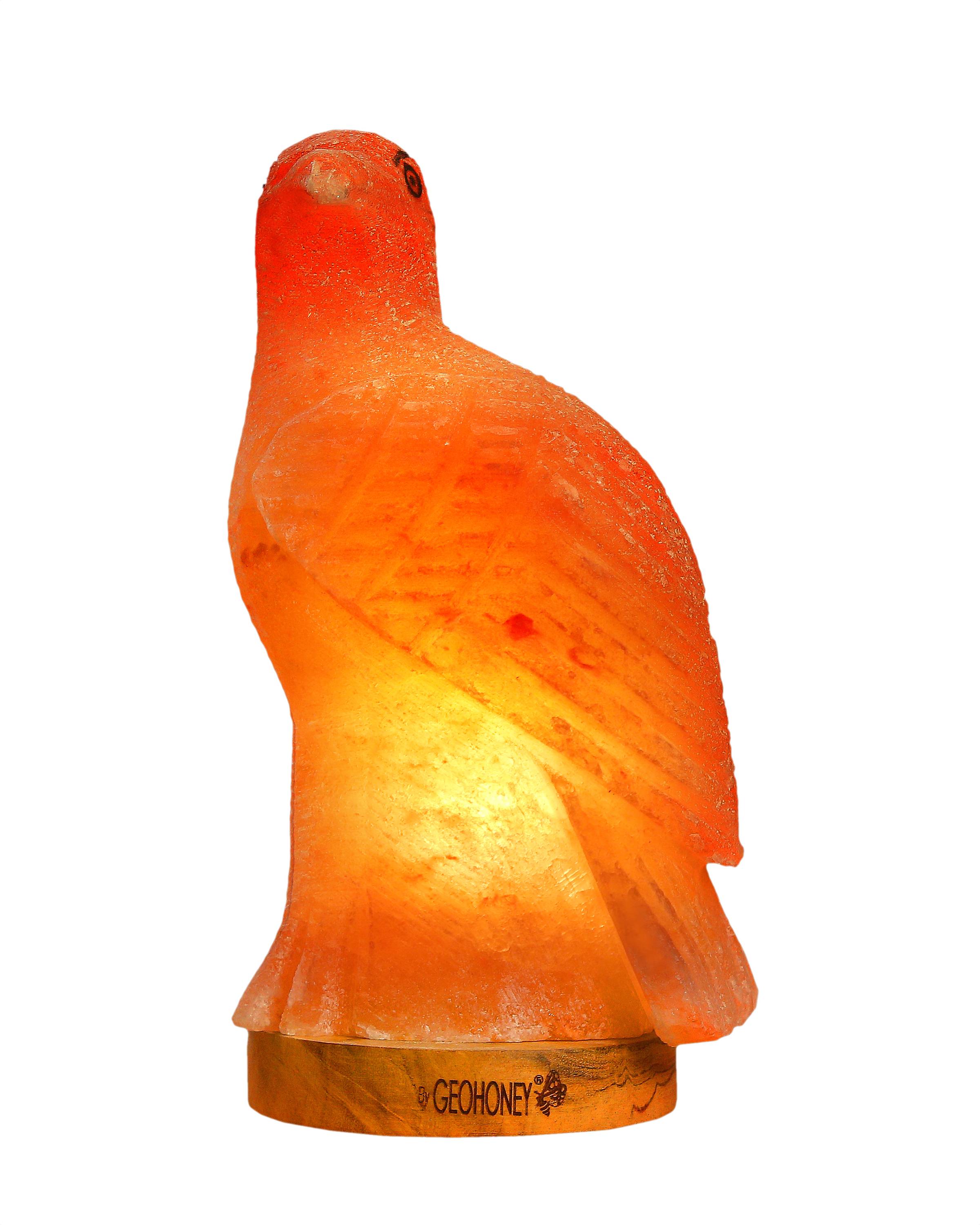 Geohoney Himalayan Salt Lamp - Eagle