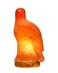 Geohoney Himalayan Salt Lamp - Eagle