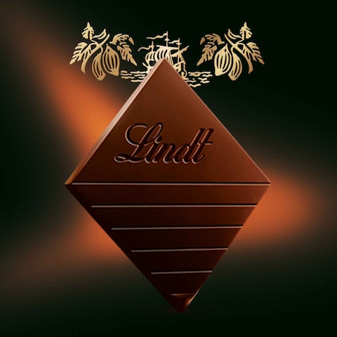 Lindt Excellence 70% Cocoa Mild Dark Chocolate 100g