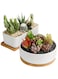 Generic White Ceramic Planter With Bamboo Tray, Planters For Succulents, Indoor Home Decor, 1 Rectangle Pot + 1 6.5 Inch Round Cactus Pot Set