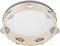 Mike Music Ambourine For Church 8 Inch Hand Held Drum Bell Birch Metal Jingles Percussion Musical Educational Toy Instrument For Ktv Party Kids Games By Mike Music (8 Inch, White)