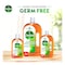 Dettol Anti-Bacterial Antiseptic Disinfectant 250ml