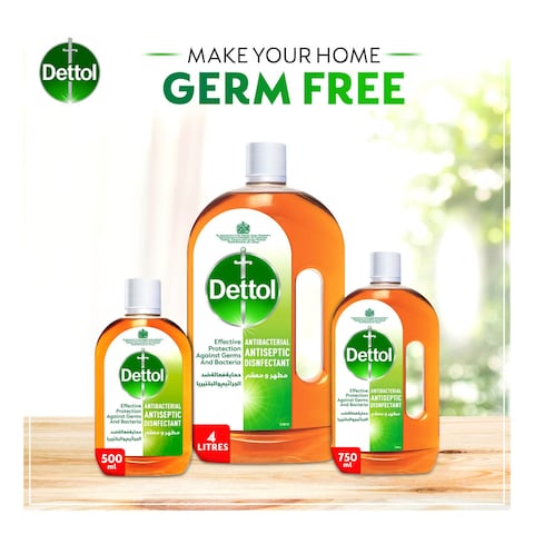 Dettol Anti-Bacterial Antiseptic Disinfectant 250ml