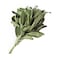 Sage Bunch African